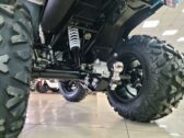 Квадроцикл Denago TGA300 Titan