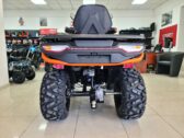 Квадроцикл Denago TGA300 Titan