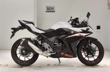 Мотоцикл Suzuki GSX250R 2022