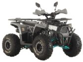 Детский квадроцикл Spark SP150-5