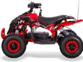 Электроквадроцикл Sport Energy FFK 1200 — 1200W