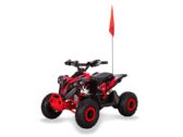 Электроквадроцикл Sport Energy FFK 1200 — 1200W