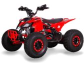 Электроквадроцикл Sport Energy FZ 1500 — 1500W
