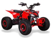 Электроквадроцикл Sport Energy FZ 1500 — 1500W