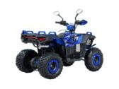 Квадроцикл Spark SP150-11