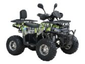 Квадроцикл Spark SP125-13