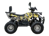 Квадроцикл Spark SP125-13