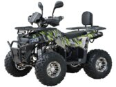 Квадроцикл Spark SP125-13