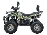 Квадроцикл Spark SP125-13