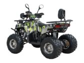 Квадроцикл Spark SP125-13
