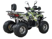 Квадроцикл Spark SP125-13