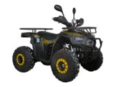 Квадроцикл Spark SP125-12