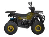 Квадроцикл Spark SP125-12
