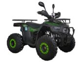 Квадроцикл Spark SP125-12
