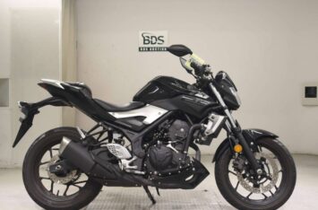 Мотоцикл Yamaha MT-25 2017