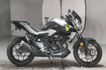 Мотоцикл Yamaha MT-25 2016