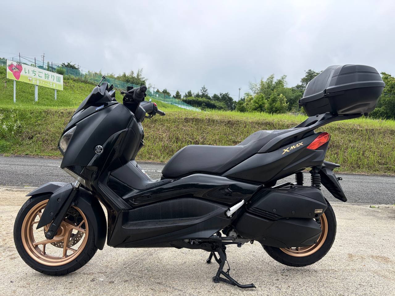 Макси-скутер YAMAHA X-MAX250 ABS SG70J Артмото - купить квадроцикл в украине и харькове, мотоцикл, снегоход, скутер, мопед, электромобиль Макси-скутер YAMAHA X-MAX250 ABS SG70J Артмото - купить квадроцикл в украине и харькове, мотоцикл, снегоход, скутер, мопед, электромобиль