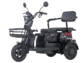 Электротрицикл Электротрайк Maxxter ANT