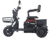 Электротрицикл Электротрайк Maxxter ANT
