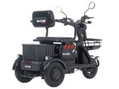 Электротрицикл Электротрайк Maxxter ANT